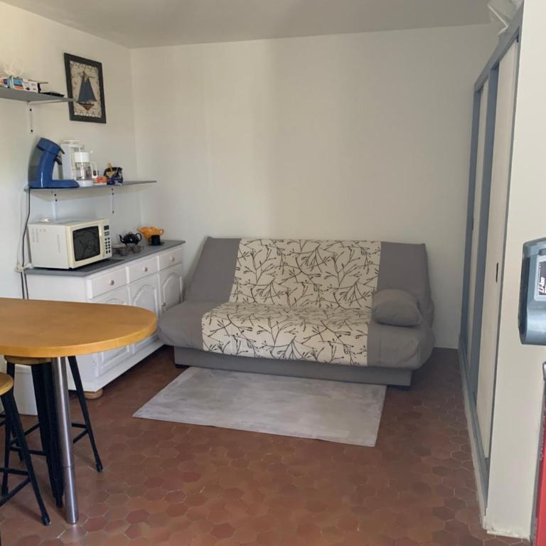 Appartement F2 agréable avec terrasse - Appartement 1 Chambre - 4