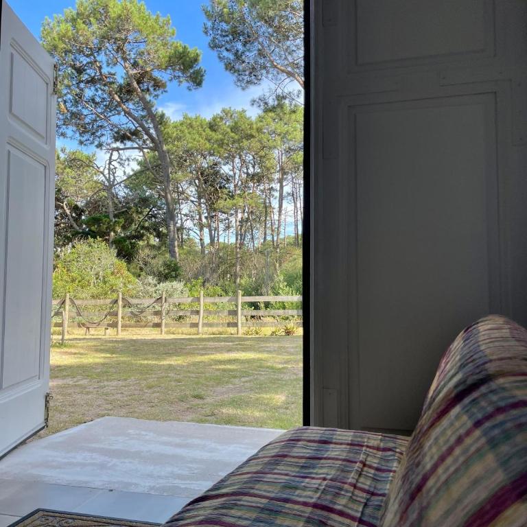 Tiny Moor Laguna Garzón - One-Bedroom Apartment - 16