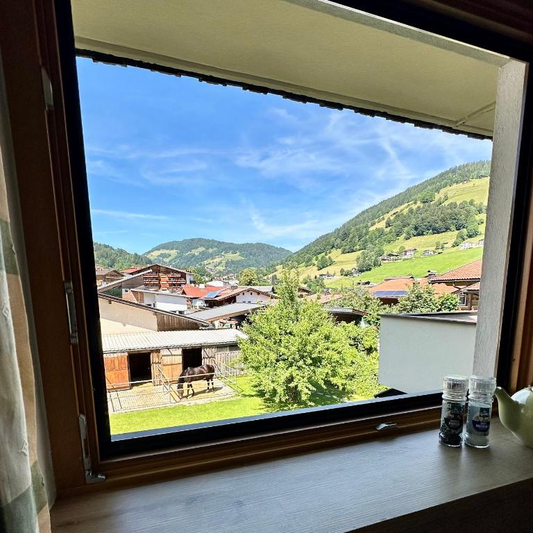 Appartement Alpenhof Wildschönau - Studio mit Balkon – Dachgeschoss - 1