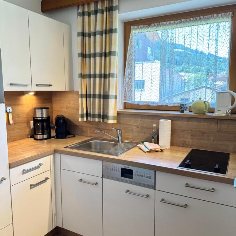 Appartement Alpenhof Wildschönau - Studio mit Terrasse - 1