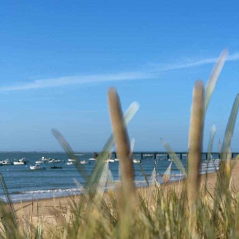 Grand Studio Mer et Confort centre-ville, parking - Casa con 1 dormitorio - 37