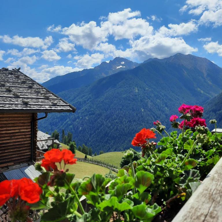 Appartements Mitteregghaus - Appartamento con Vista Montagna - 8