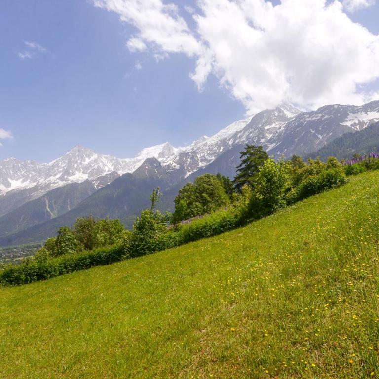 Tete Rousse - Ski aux pieds - Piscine - Terrace - Appartement - 7