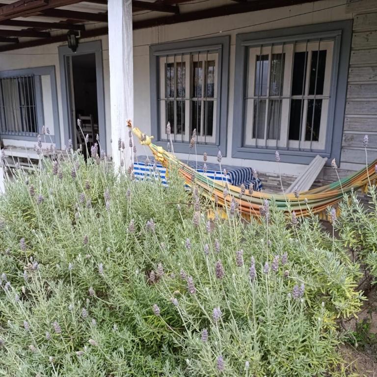 Diablo Celta 1 - Apartamento de 1 dormitorio - 1