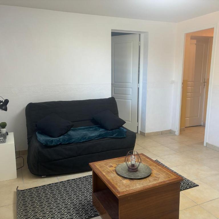 Forêt et Océan grand appartement rdc avec vue sur la forêt proche du centre ville - Appartement 1 Chambre - 12