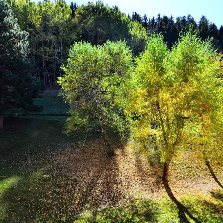 Studio rénové 4-5 pers. Montchavin, proche pistes et commerces, parking gratuit - FR-1-329-42 - Monolocale - 10