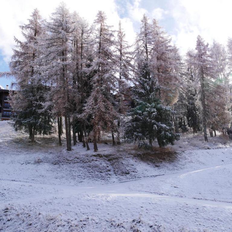 Appartement cosy 2 pièces + cabine, ski-in/ski-out, balcon sud, rénové, 6 pers, Montchavin Les Coches - FR-1-329-15 - Apartment (6 Adults) - 8