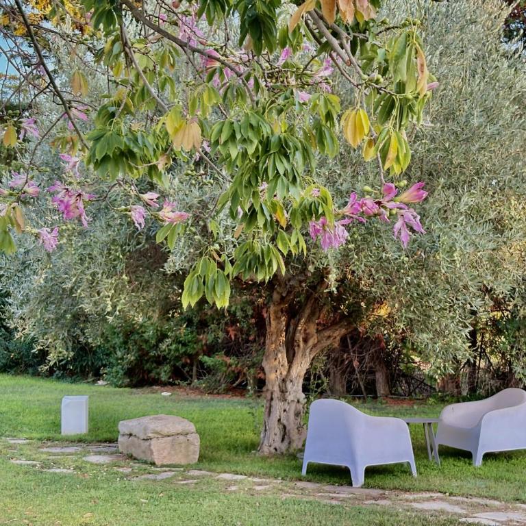 Torre Dantona Country Suites - One-Bedroom Apartment with Garden View - 13