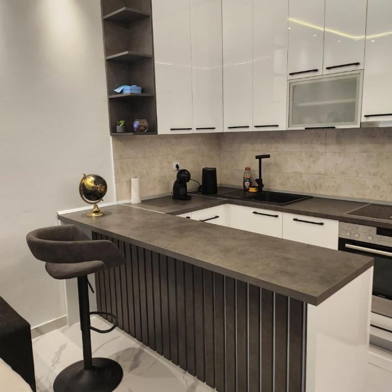 Stan na dan Zvezdara - Apartman sa 1 Spavaćom Sobom - 1