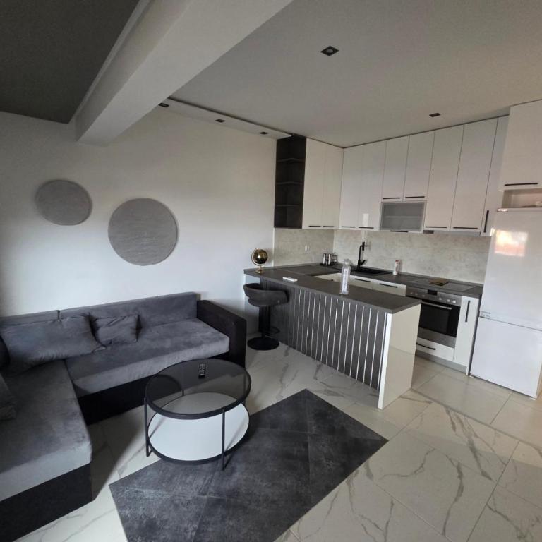 Stan na dan Zvezdara - Apartman sa 1 Spavaćom Sobom - 6