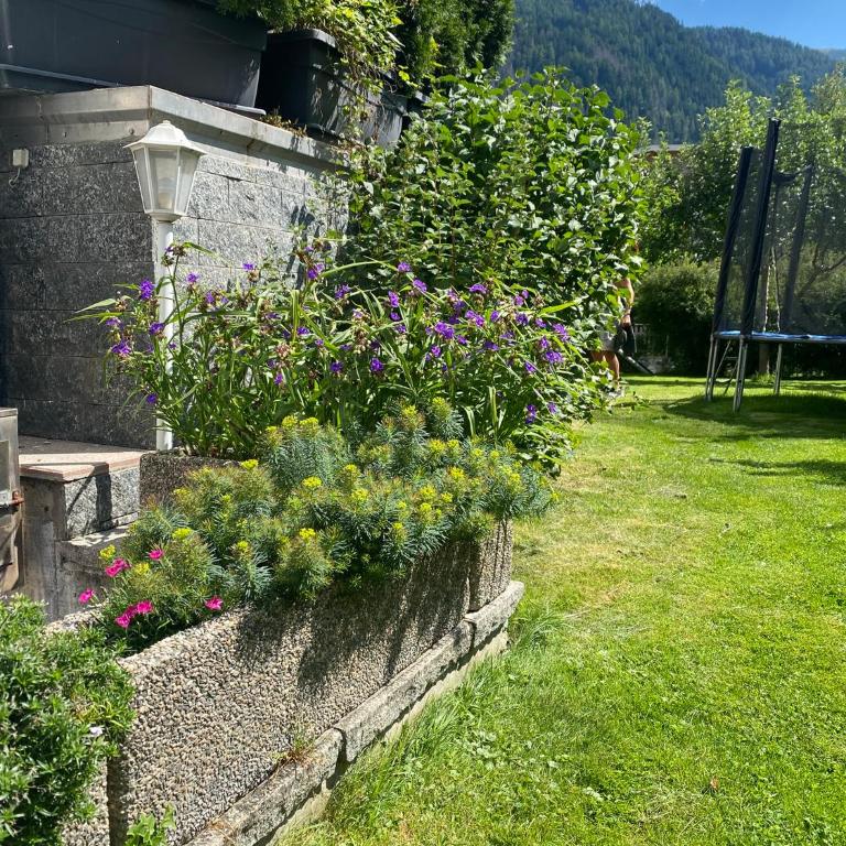 Villa Alessandra - Appartamento con 2 Camere da Letto - 28
