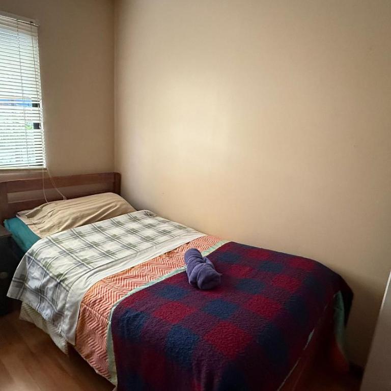 Hostal Temuco - Habitación Doble - 2 camas - 9