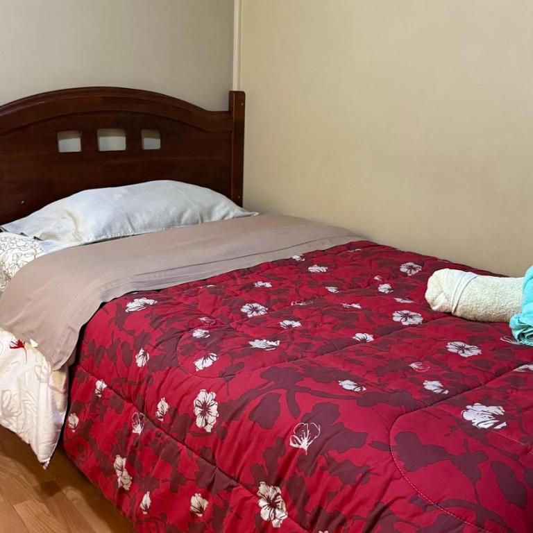 Hostal Temuco - Habitación Doble Superior - 7