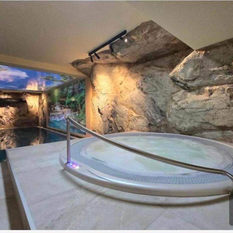 Zlatiborkse Terase Wellness & Spa By Mica - One-Bedroom Apartment - 15