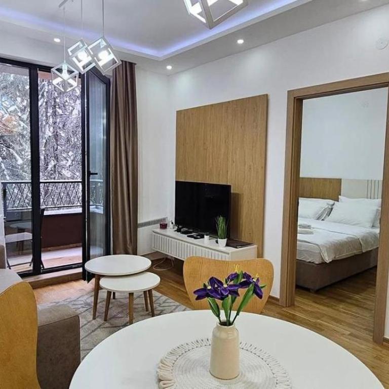 Zlatiborkse Terase Wellness & Spa By Mica - One-Bedroom Apartment - 3