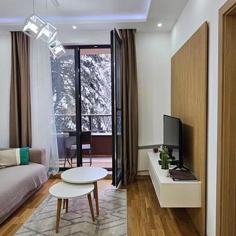 Zlatiborkse Terase Wellness & Spa By Mica - One-Bedroom Apartment - 4