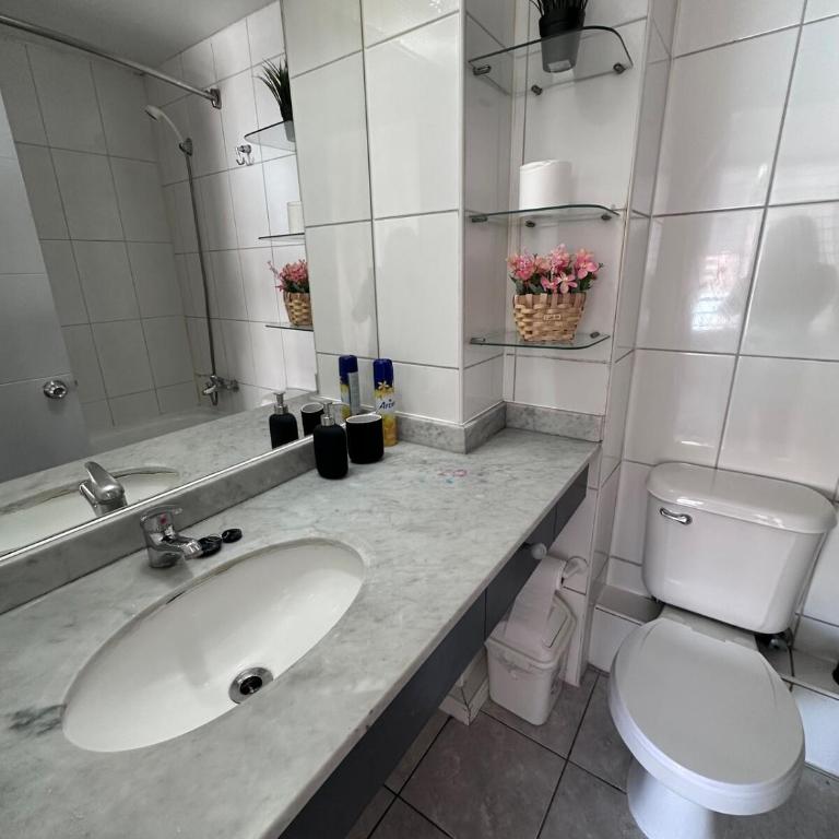 Moderno departamento a pasos de el Movistar arena - Three-Bedroom Apartment - 16