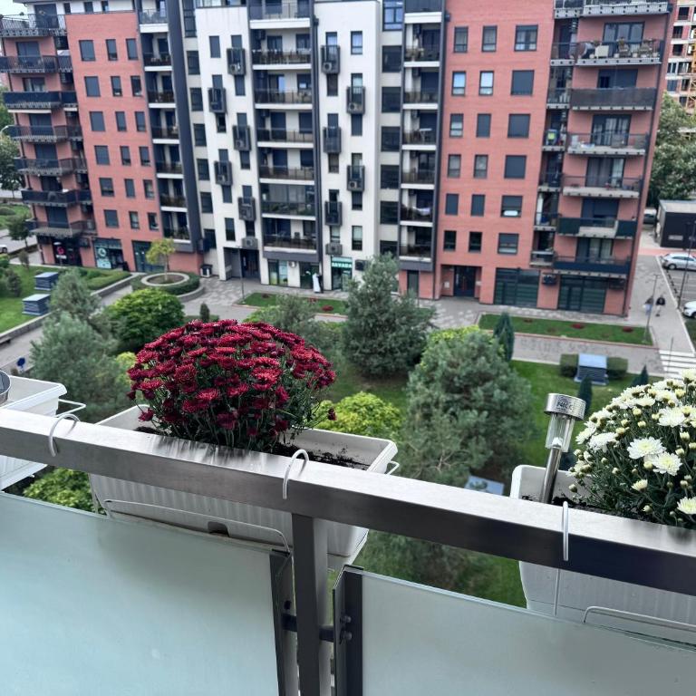 Marse Stay - Apartman sa 1 Spavaćom Sobom - 34