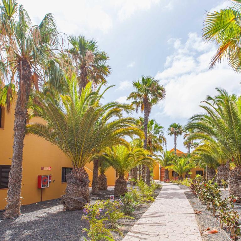 Oasi Blue Papagayo - Apartamento de 2 dormitorios - 28
