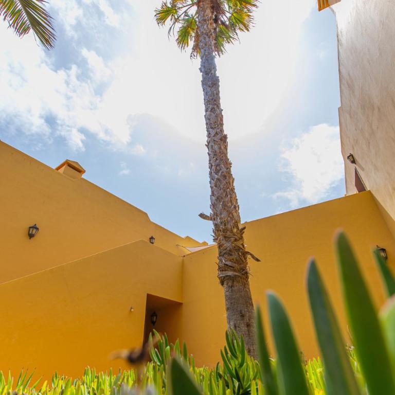 Oasi Blue Papagayo - Apartamento de 2 dormitorios - 45