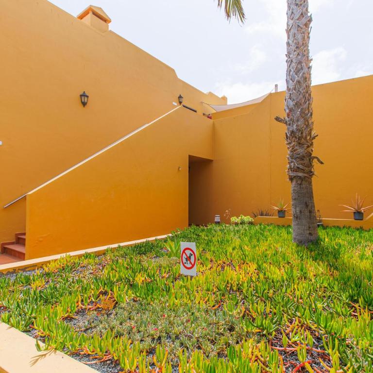 Oasi Blue Papagayo - Apartamento de 2 dormitorios - 23