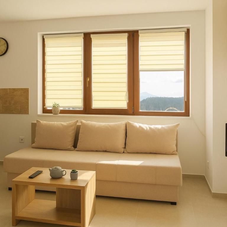 Snow Hill Kopaonik - One-Bedroom Apartment - 2