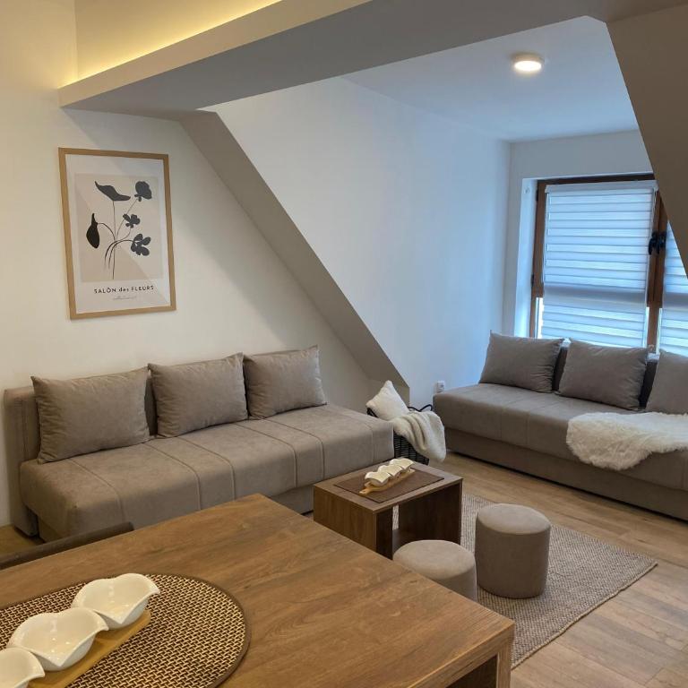 Snow Hill Kopaonik - Studio - 8