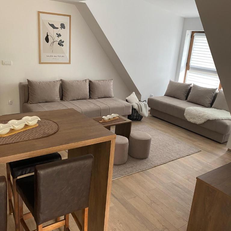 Snow Hill Kopaonik - Studio - 1