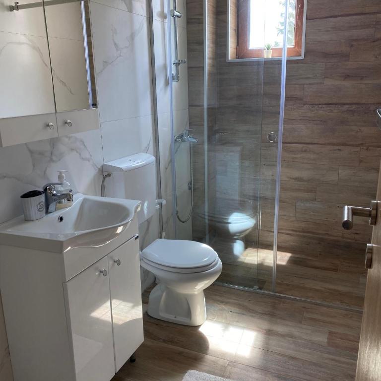 Snow Hill Kopaonik - One-Bedroom Apartment - 10