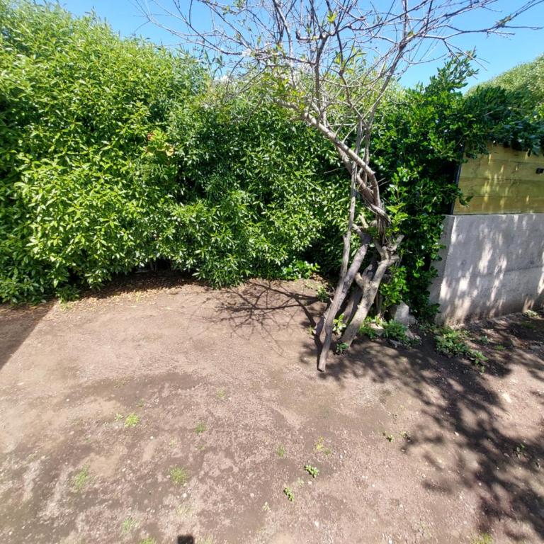 Cabaña Independiente para 4 personas con estacionamiento - Casa con 1 dormitorio - 18