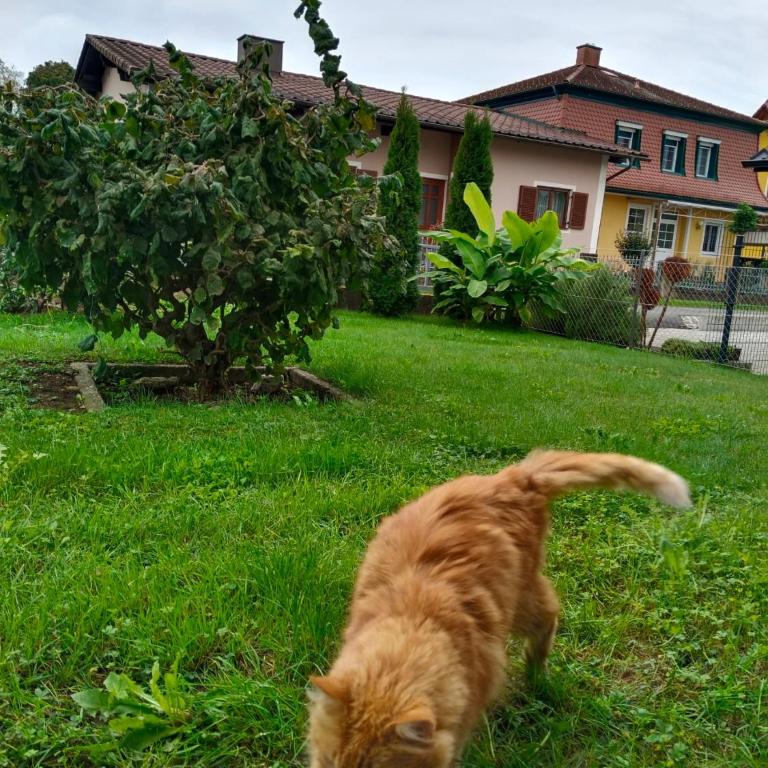 Ferienwohnungen Birgit - Apartment mit 2 Schlafzimmern - 18