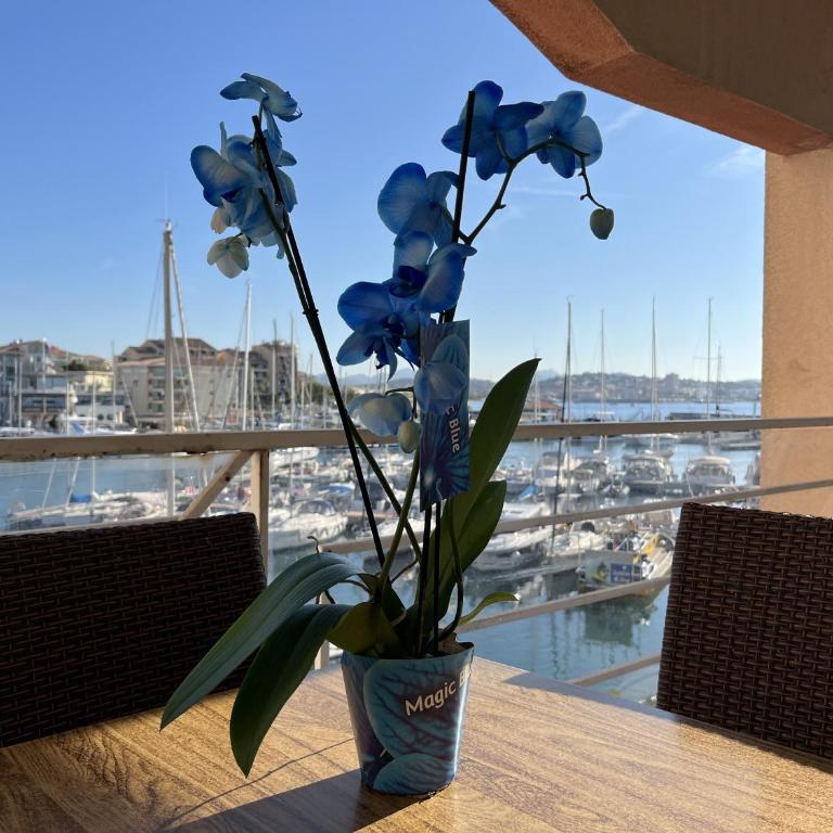 Cap Hermes 200 residence avec piscine et vue port - Apartment mit 2 Schlafzimmern, Terrasse und Meerblick - 1