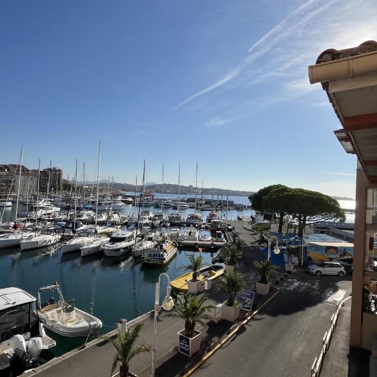 Cap Hermes 200 residence avec piscine et vue port - Apartment mit 2 Schlafzimmern, Terrasse und Meerblick - 8