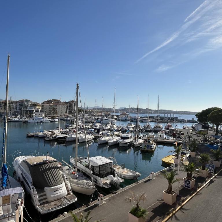 Cap Hermes 200 residence avec piscine et vue port - Apartment mit 2 Schlafzimmern, Terrasse und Meerblick - 15