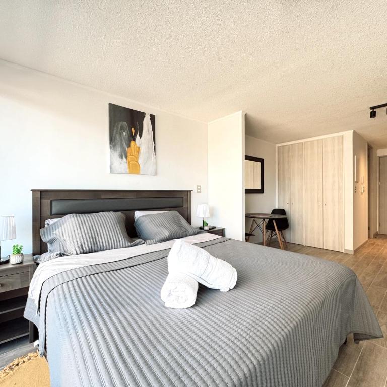 Apartamento Movistar Arena, Santiago de Chile - Apartamento de 1 dormitorio - 9