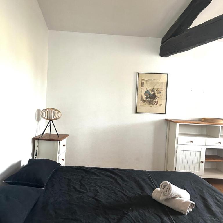Petit Patapon - T2 Hyper Centre - Two-Bedroom Apartment - 21
