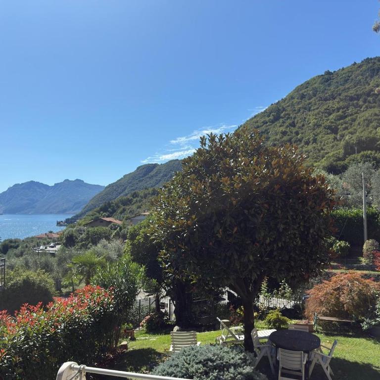 La Casa di Erika - Bebele Apartment in Bellagio - Appartamento con 1 Camera da Letto - 8