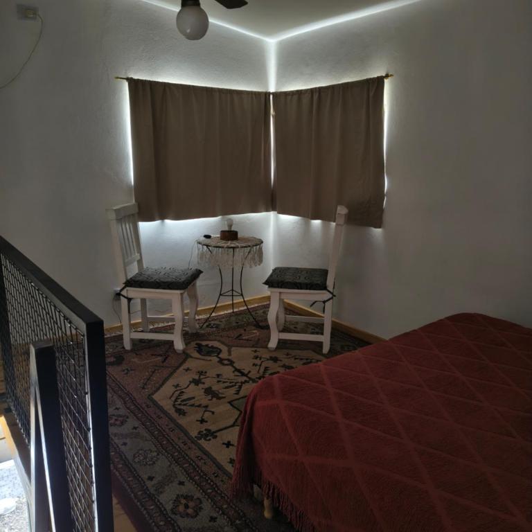 Los Bichos - Casa de 2 dormitorios - 38