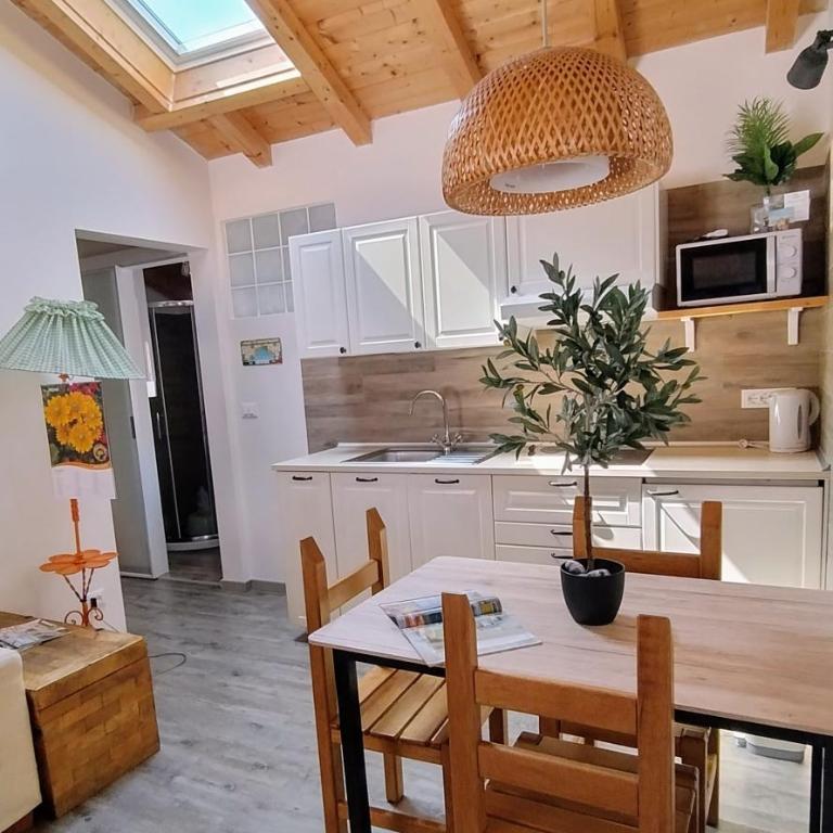 Casa Vacanza L'Ulivo - Appartamento con 2 Camere da Letto - 1