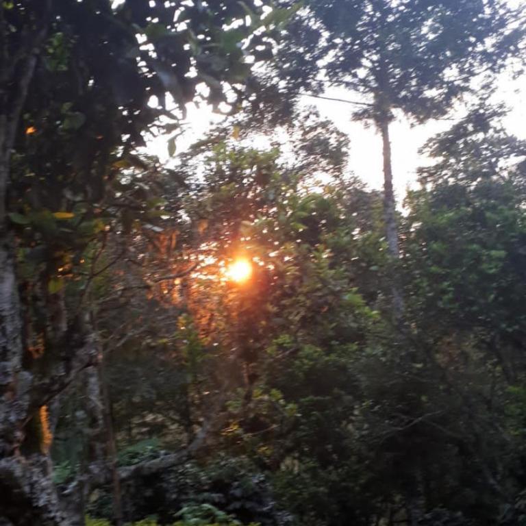 Alojamiento natural rural LOS NOGALES, apartamentos tipo glamping, avistamiento de aves, paisaje cafetero - Apartamento de 1 dormitorio - 29