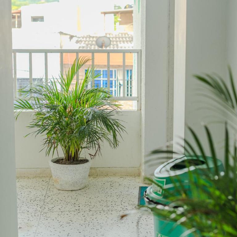 Almería Apt, Spacious Studio Near Old Town - One-Bedroom Apartment - 16