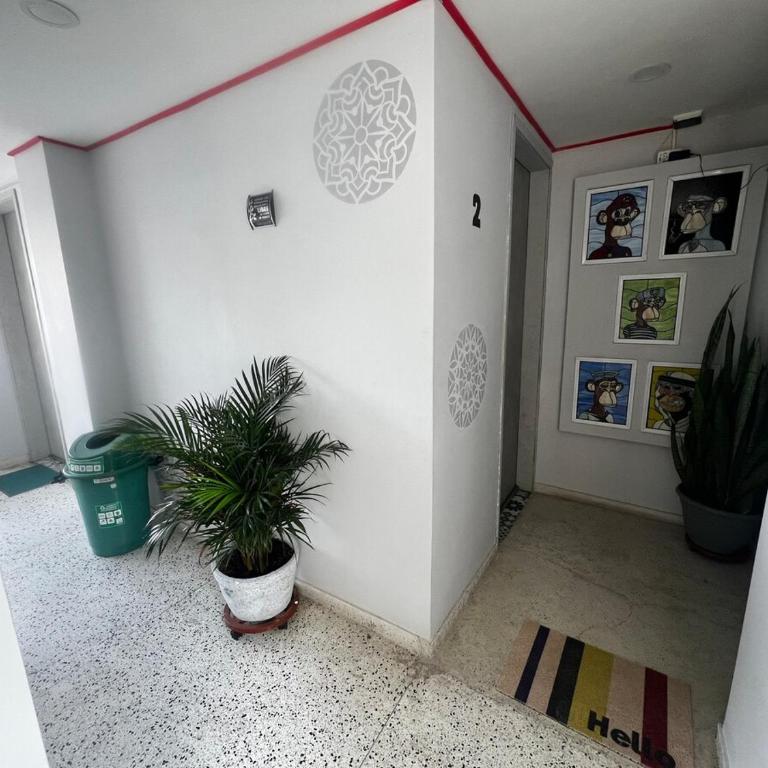 Almería Apt, Spacious Studio Near Old Town - One-Bedroom Apartment - 29