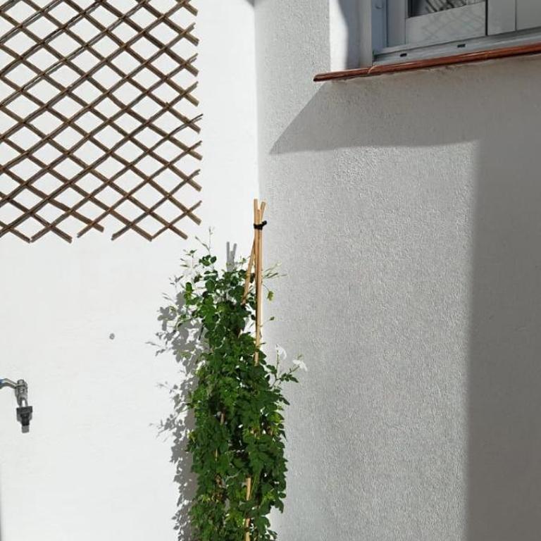 Apartamento Plumaria - Apartamento de 1 dormitorio - 11