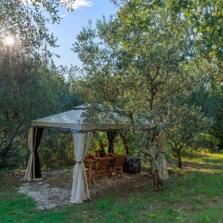 Olive Garden Loft Relax among Olive Trees and Gazebos - Casa con 1 Camera da Letto - 17