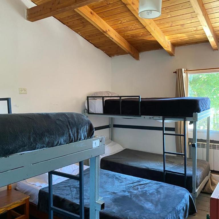 Hostel Punto Patagónico Bariloche - Cama en habitación compartida mixta de 4 camas - 1