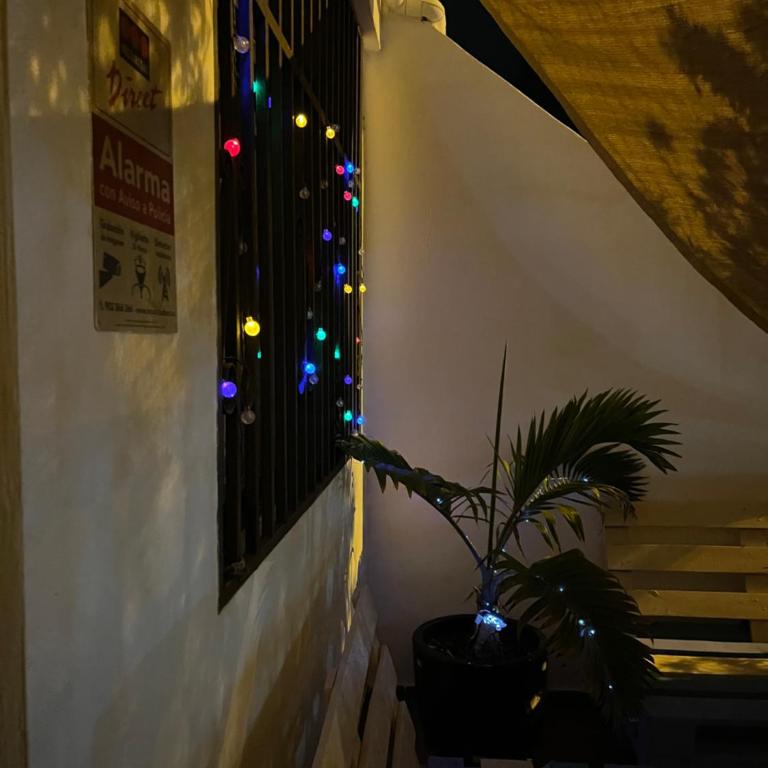 New cozy flat with pool in amazing place..! - Apartamento - 3