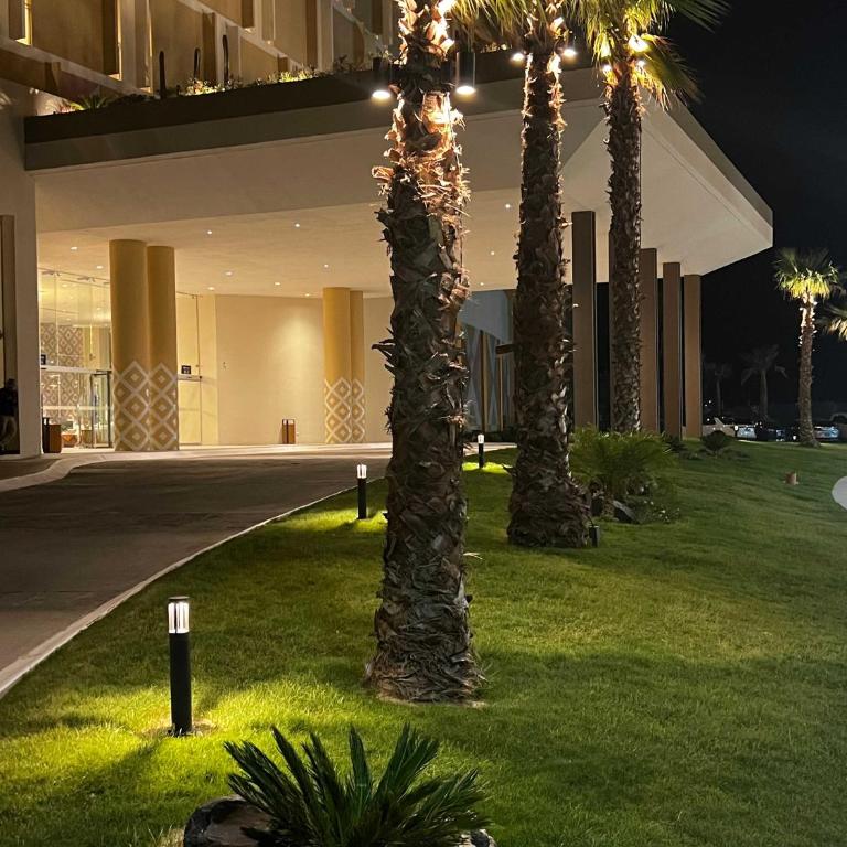 Sonoran Star Beach Front Apartment Getaway - Suite - 47