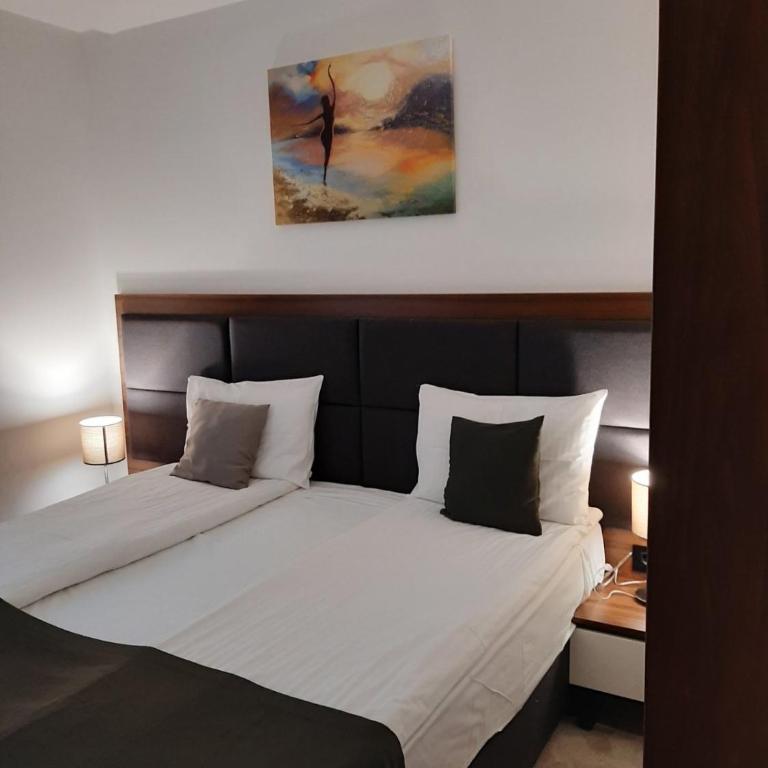 Harry apartments - Apart & spa Zoned Kopaonik, Special offer for Genius status, in addition, we offer special benefits for children up to 17 years old!!! - Deluxe One-Bedroom Apartment - 16