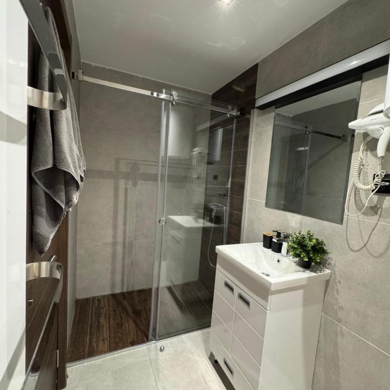 Harry apartments - Apart & spa Zoned Kopaonik, Special offer for Genius status, in addition, we offer special benefits for children up to 17 years old!!! - Deluxe One-Bedroom Apartment - 14