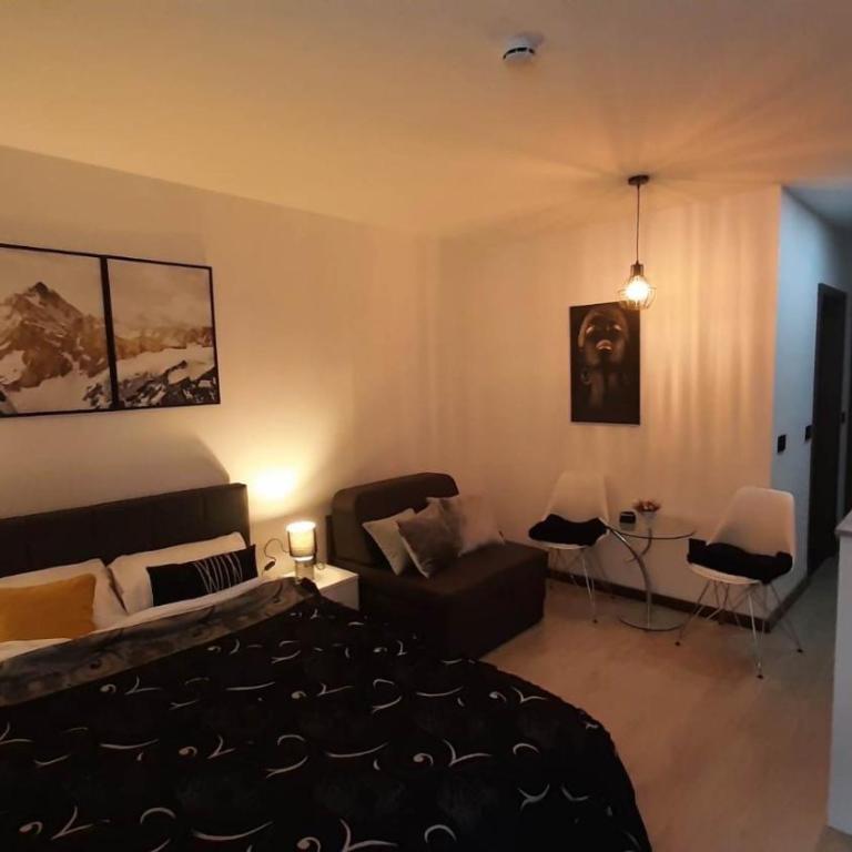 Harry apartments - Apart & spa Zoned Kopaonik, Special offer for Genius status, in addition, we offer special benefits for children up to 17 years old!!! - Deluxe Double Studio - 15